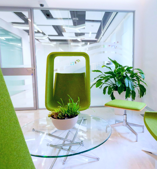 Photo d'une salle d'attente avec des chaises, une plante et une table.