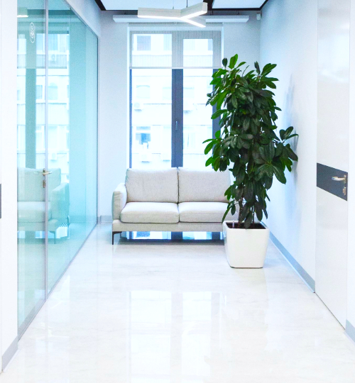 Photo d'une salle d'attente avec un canapé et une plante.